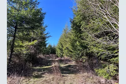 0 Nka Salmon Creek Road, Toledo, WA 98591 - Photo 5
