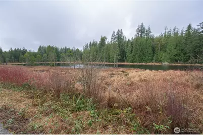 26551 Lake Cavanaugh Road, Mount Vernon, WA 98274 - Photo 15