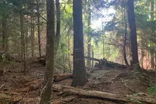 1 Tract Parpala Rd, Naselle, WA 98638 - Photo 1