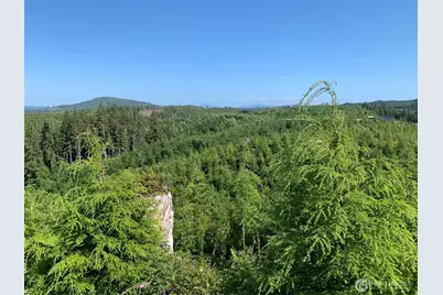 1 Tract Parpala Road, Naselle, WA 98638 - Photo 11