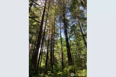 1 Tract Parpala Road, Naselle, WA 98638 - Photo 9