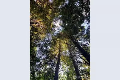 2 Tract Parpala Road, Naselle, WA 98638 - Photo 15