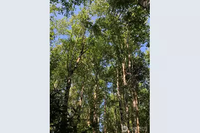 2 Tract Parpala Road, Naselle, WA 98638 - Photo 7