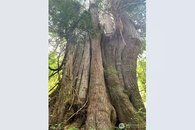 2 Tract Parpala Road, Naselle, WA 98638 - Photo 19