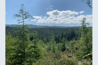 2 Tract Parpala Road, Naselle, WA 98638 - Photo 11