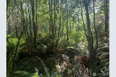 2 Tract Parpala Road, Naselle, WA 98638 - Photo 9