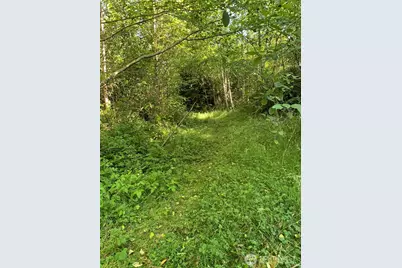 2 Tract Parpala Road, Naselle, WA 98638 - Photo 1