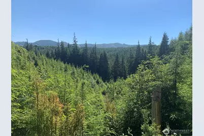 2 Tract Parpala Road, Naselle, WA 98638 - Photo 17