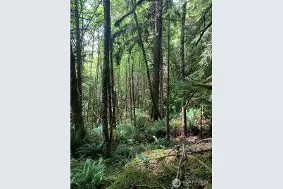 3 Tract Parpala Road, Naselle, WA 98638 - Photo 21