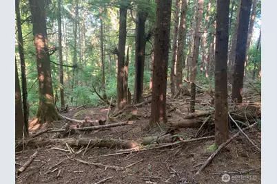 4 Tract Parpala Road, Naselle, WA 98638 - Photo 3