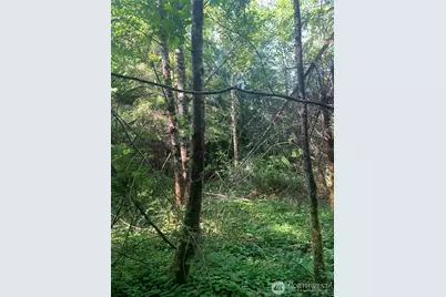 4 Tract Parpala Road, Naselle, WA 98638 - Photo 9