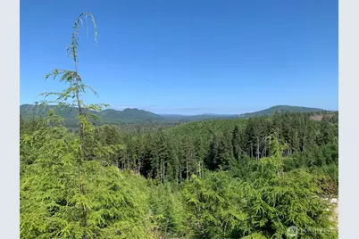 4 Tract Parpala Road, Naselle, WA 98638 - Photo 5