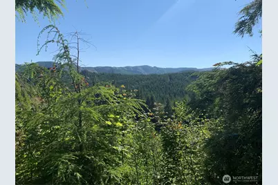 4 Tract Parpala Road, Naselle, WA 98638 - Photo 19