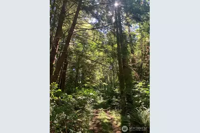 4 Tract Parpala Road, Naselle, WA 98638 - Photo 17