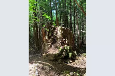 4 Tract Parpala Road, Naselle, WA 98638 - Photo 21