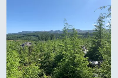 4 Tract Parpala Road, Naselle, WA 98638 - Photo 13