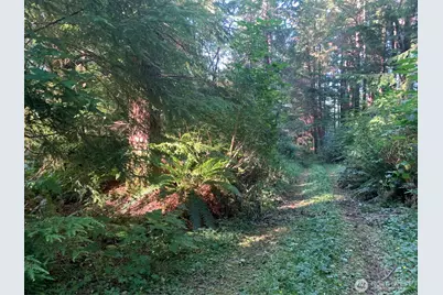 4 Tract Parpala Road, Naselle, WA 98638 - Photo 15