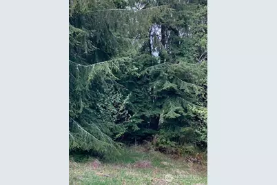 53 Dunsmuir Road, Port Ludlow, WA 98365 - Photo 7