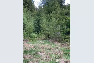 53 Dunsmuir Road, Port Ludlow, WA 98365 - Photo 5