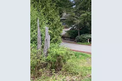 53 Dunsmuir Road, Port Ludlow, WA 98365 - Photo 3