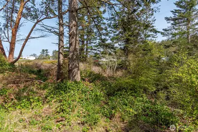 0 El Mar, Coupeville, WA 98239 - Photo 5