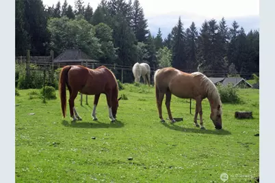 6255 Turkey Hill Road, Clinton, WA 98236 - Photo 7