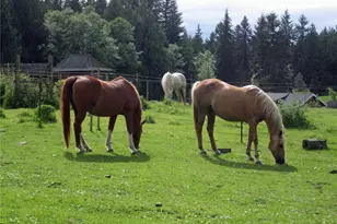 6255 Turkey Hill Rd, Clinton, WA 98236 - Photo 7