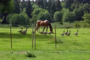 6255 Turkey Hill Rd, Clinton, WA 98236 - Photo 5