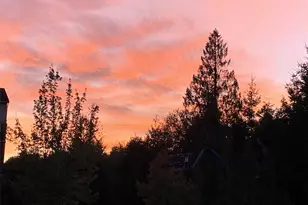 23916 NE 115th Ln, Redmond, WA 98053 - Photo 31