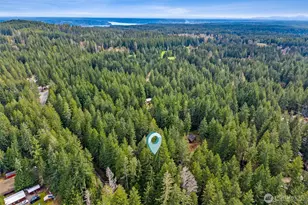 100 N Duckabush Dr W, Hoodsport, WA 98548 - Photo 27