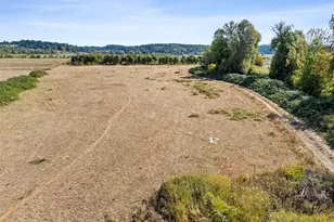 379 Twin Oaks Rd, Chehalis, WA 98532 - Photo 29