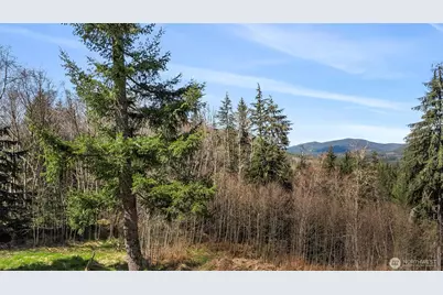 19203 456th Street E, Eatonville, WA 98328 - Photo 7