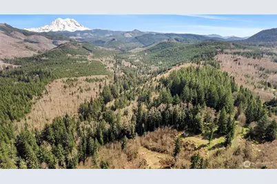 19203 456th Street E, Eatonville, WA 98328 - Photo 17