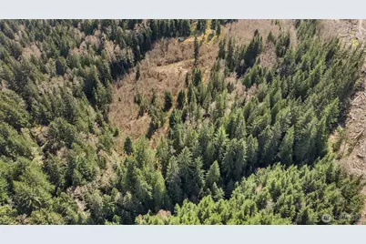 19203 456th Street E, Eatonville, WA 98328 - Photo 15