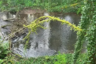 1337 Coal Creek Rd, Longview, WA 98632 - Photo 35