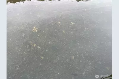 89 F Tulalip Way, Hat Island, WA 98206 - Photo 21