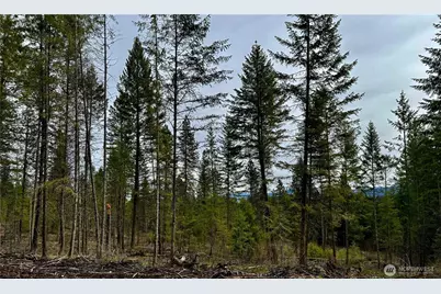 6200 Brisbois Road #D, Fruitland, WA 99129 - Photo 5