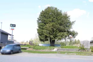 240 G St, Blaine, WA 98230 - Photo 1