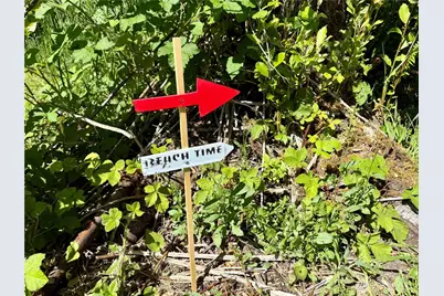 114 E Bayview Lane, Westport, WA 98595 - Photo 7