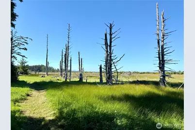 114 E Bayview Lane, Westport, WA 98595 - Photo 25