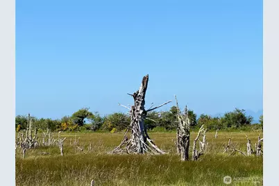 114 E Bayview Lane, Westport, WA 98595 - Photo 23