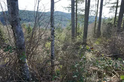 50215 146th Avenue E, Eatonville, WA 98328 - Photo 7