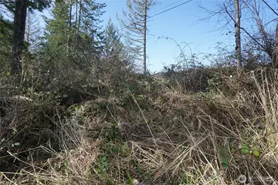 50215 146th Avenue E, Eatonville, WA 98328 - Photo 9