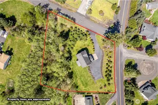 107 Basswood Dr, Silverlake, WA 98645 - Photo 31