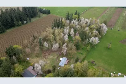 1822 E Pole Road, Everson, WA 98247 - Photo 9