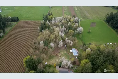 1822 E Pole Road, Everson, WA 98247 - Photo 11