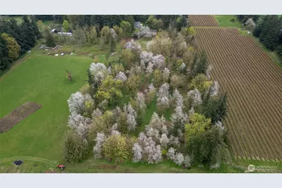 1822 E Pole Road, Everson, WA 98247 - Photo 17