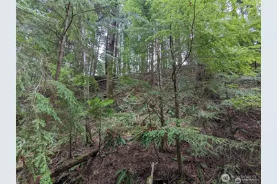 14 Black Bear Court #A, Bellingham, WA 98229 - Photo 1