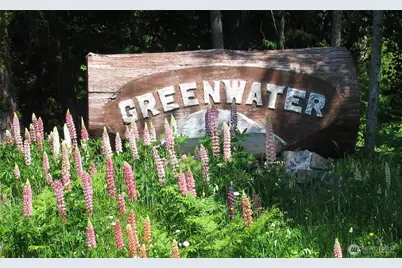 11101 Riverview Drive E, Greenwater, WA 98022 - Photo 5