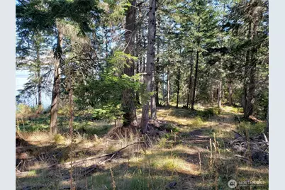 0 Raccoon Point Road #Lot 2, Orcas Island, WA 98245 - Photo 3
